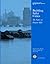 Building Safer Cities: The Future of Disaster Risk (Disaster Risk Management, 3)