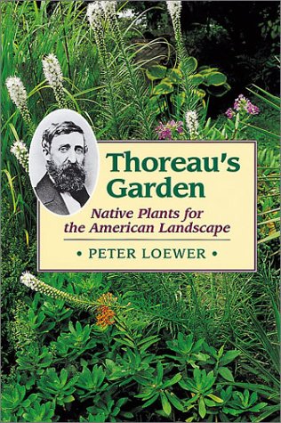 Thoreau's Garden: Native Plants for the American Landscape (Paperback)