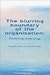 The Blurring Boundary of the Organisation  by Christina Costa