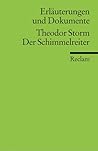 Theodor Storm: Der Schimmelreiter. Erläuterungen und Dokumente (Universal-Bibliothek; Nr. 8133)