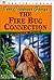 The Fire Bug Connection by Jean Craighead George
