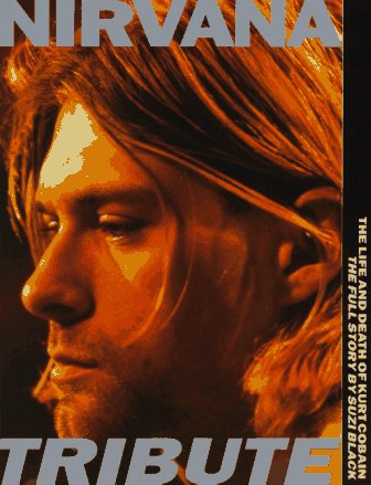 Nirvana: Tribute (Paperback)