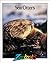 Sea Otters (Zoobooks)
