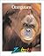 Orangutans (Zoobooks)