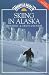 Umbrella Guide to Skiing in Alaska by Elizabeth A. Tower