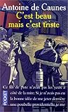 C'est beau mais c'est triste