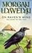 On Raven's Wing by Morgan Llywelyn