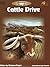Cattle Drive: History - Hands On