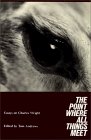 The Point Where All Things Meet: Essays on Charles Wright