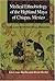 Medical Ethnobiology of the Highland Maya of Chiapas, Mexico by Elois Ann Berlin