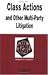 Class Actions and Other Multi-Party Litigation in a Nutshell (Nutshell Series)