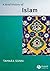 A Brief History of Islam by Tamara Sonn