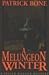A Melungeon Winter by Patrick Bone