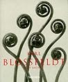 Karl Blossfeldt