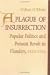A Plague of Insurrection: Popular Politics and Peasant Revolt in Flanders, 1323-1328 (The Middle Ages Series)