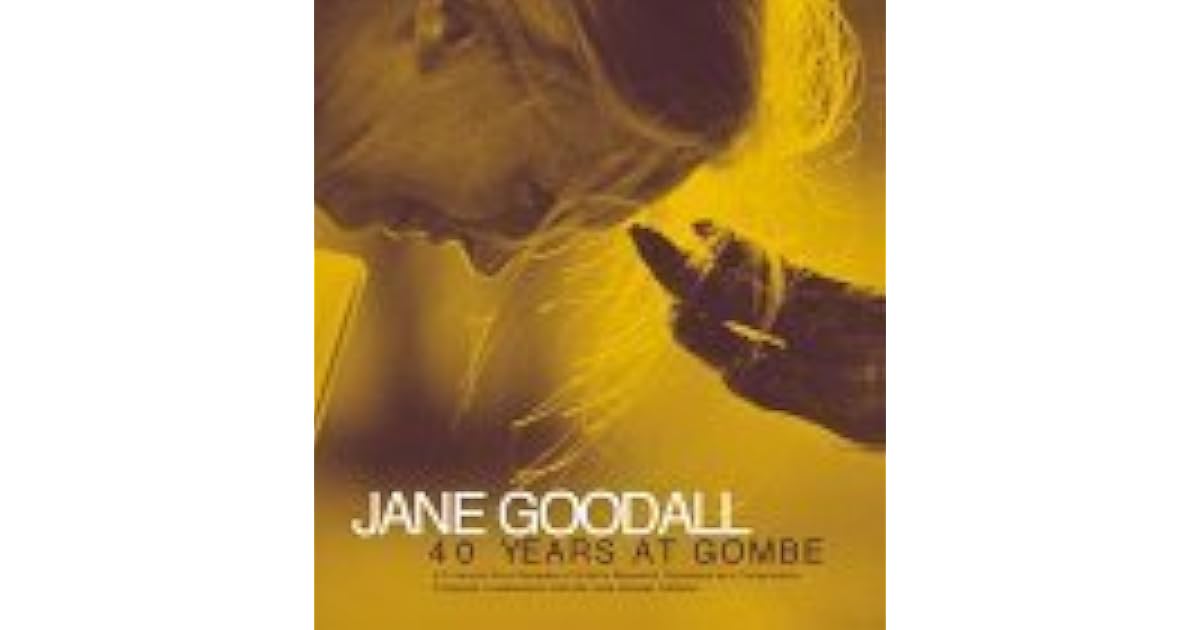 Jane Goodall 40 Years At Gombe By Jennifer Lindsey