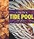 Life in a Tide Pool