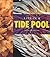 Life in a Tide Pool (Lifeviews)
