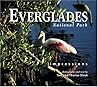 Everglades National Park Impressions