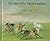 The Man Who Painted Indians by Nancy Plain