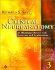 Clinical Neuroanatomy: A Review With Questions and Explanations (Clinical Neuroanatomy Review (Snell))