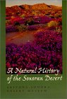 A Natural History of the Sonoran Desert by Steven J. Phillips
