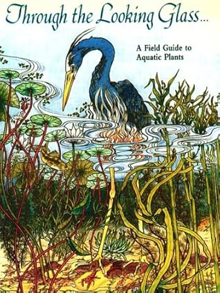 Through the Looking Glass: A Field Guide to Aquatic Plants