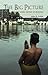 The Big Picture: A Short Wo...