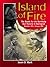 Island of Fire by Jason D. Mark