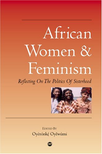 African Women and Feminism: Reflecting on the Politics of Sisterhood (Paperback)