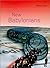 New Babylonians by Iain Borden