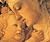 A Child is Born by Phaidon Press