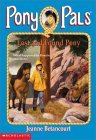Lost and Found Pony (Pony Pals, #29)
