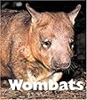 Wombats (Naturebooks)