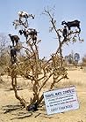 Goat Trees: Tales from the Other Side of the World