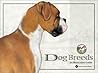 Dog Breeds: An Illustrated Guide