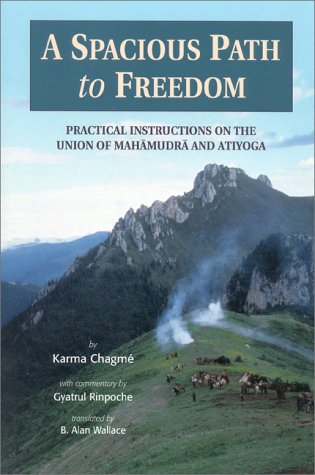 A Spacious Path to Freedom: Practical Instructions on the Union of Mahamudra and Atiyoga (Paperback)