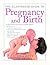 The Illustrated Guide to Pregnancy and Birth