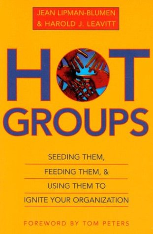Hot Groups: Seeding Them, Feeding Them, and Using Them to Ignite Your Organization (Paperback)