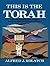 This Is the Torah