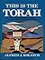 This Is the Torah