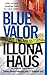 Blue Valor (Kay Delaney, #2)