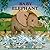 Baby Elephant (Grosset & Dunlap All Aboard)