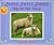Sheep, Sheep, Sheep, Help M...