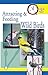 Attracting & Feeding Wild Birds (Quick & Easy)