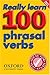 Really Learn 100 Phrasal Verbs