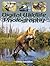 Digital Wildlife Photography