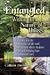 Entangled Within the Nature of Things by Colleen Smith