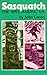 Sasquatch: The Apes Among Us