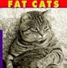Fat Cats Fat Cats